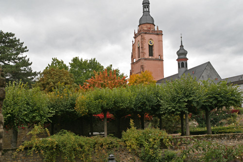 Eltville - Kirche und Rosengarten